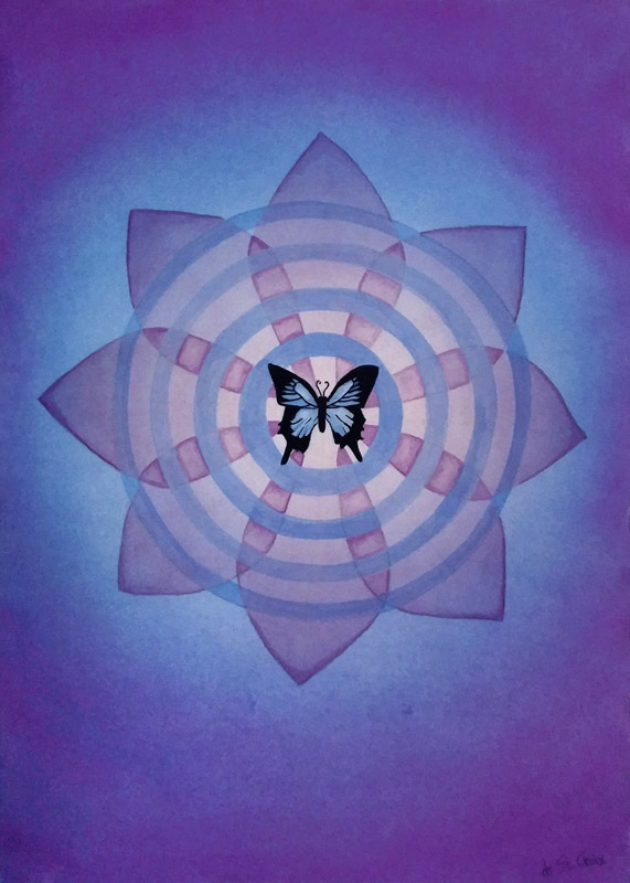 Butterfly effect e